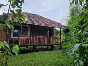 20240906 172324. Aalterra Resort, Wayanad