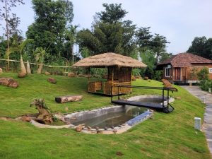 Garden in premium pool resort in wayanad