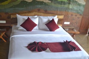 DSC 1162. Aalterra Resort, Wayanad