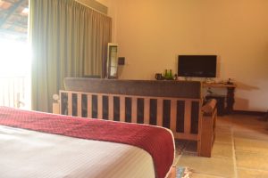 DSC 1194 Medium. Aalterra Resort, Wayanad