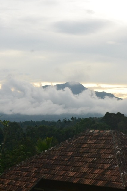 Wayanad peaks and treks