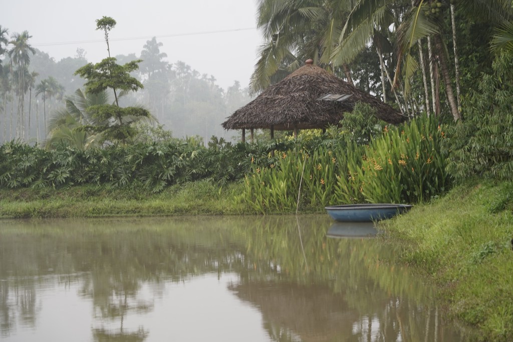 DSC9113. Aalterra Resort, Wayanad