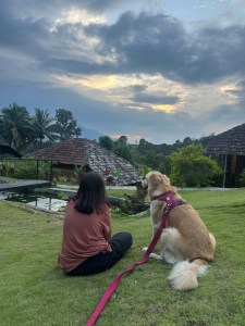 Dogs at Pet Friendly Resort in Wayanad, Aalterra