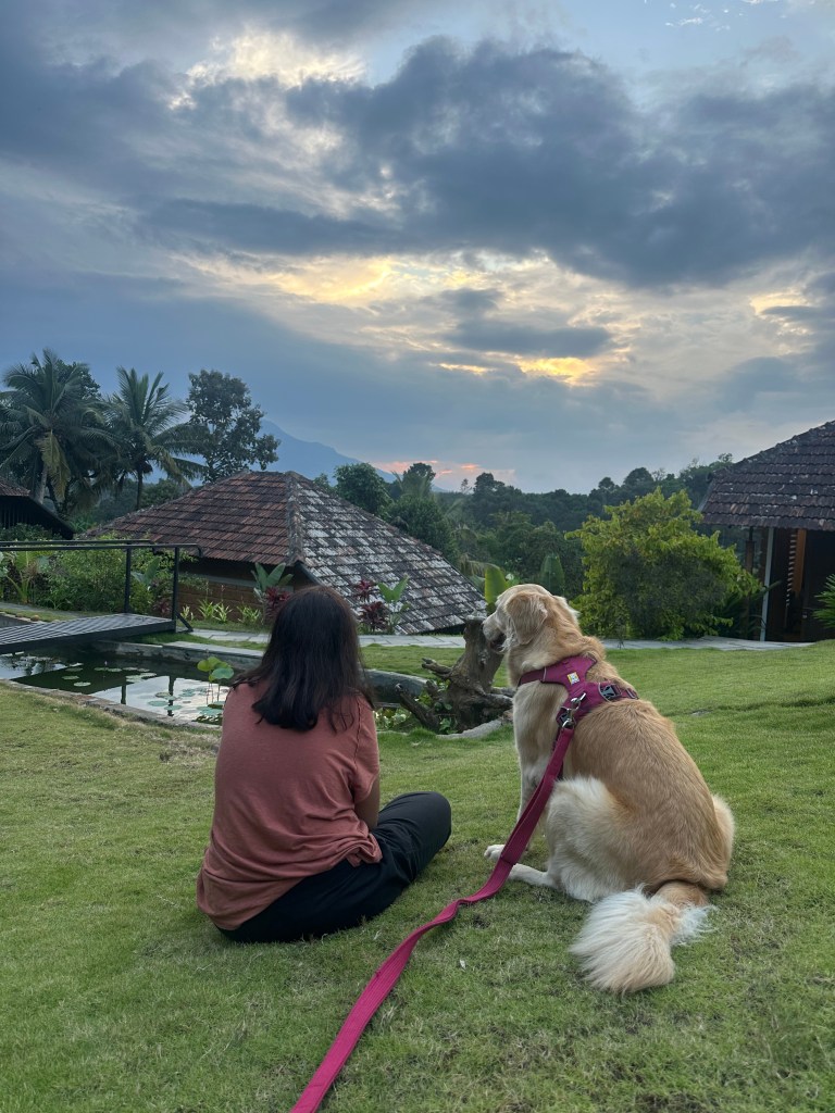 IMG 7209. Aalterra Resort, Wayanad